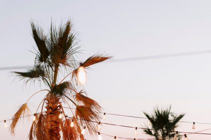 Сол по устните, тайни в чашата: Солунските морски вечери и скритите барове, които преоткриват стила