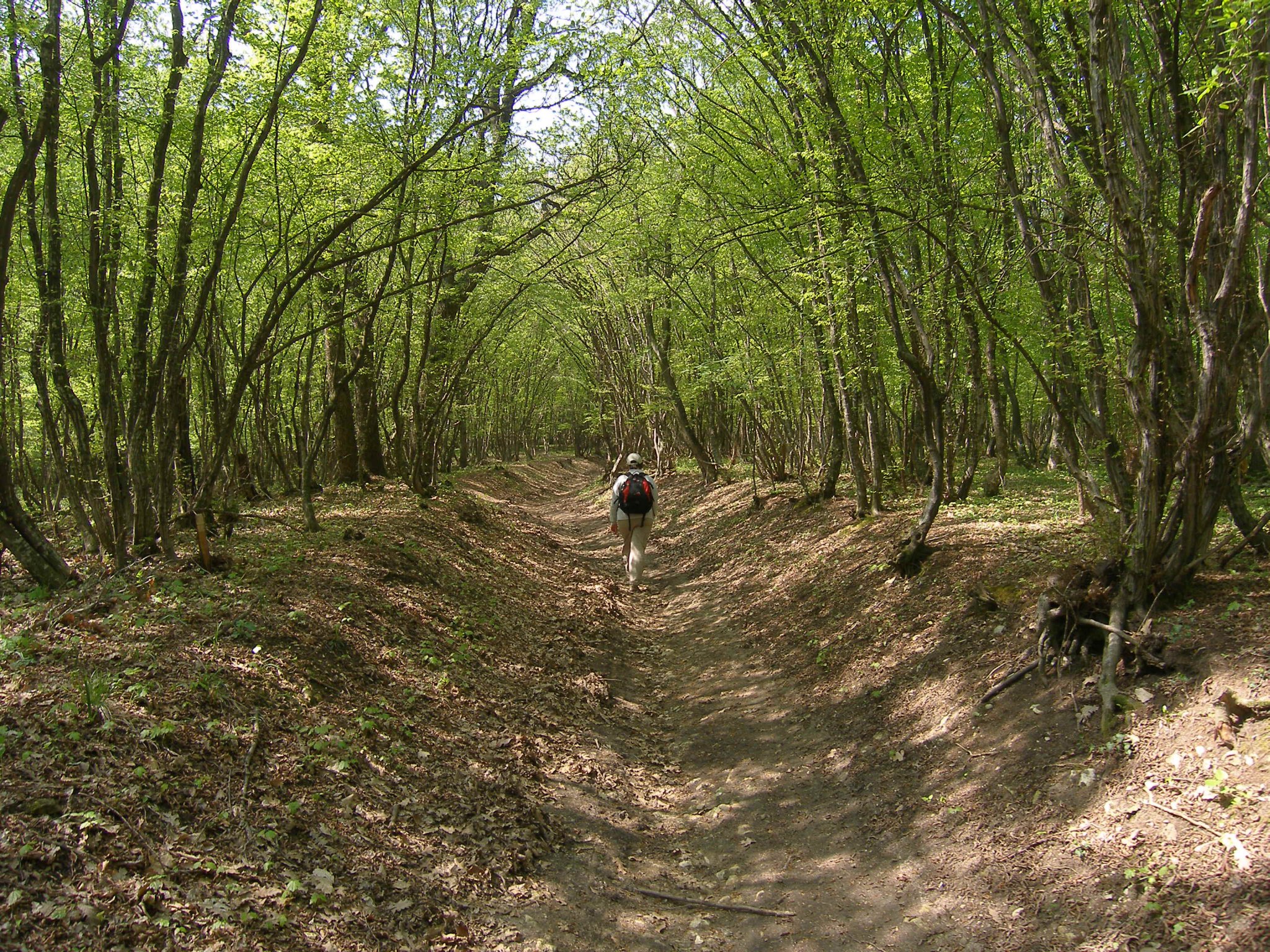 Walking the Shumen Plateau  caves and legends nearby - изображение 2
